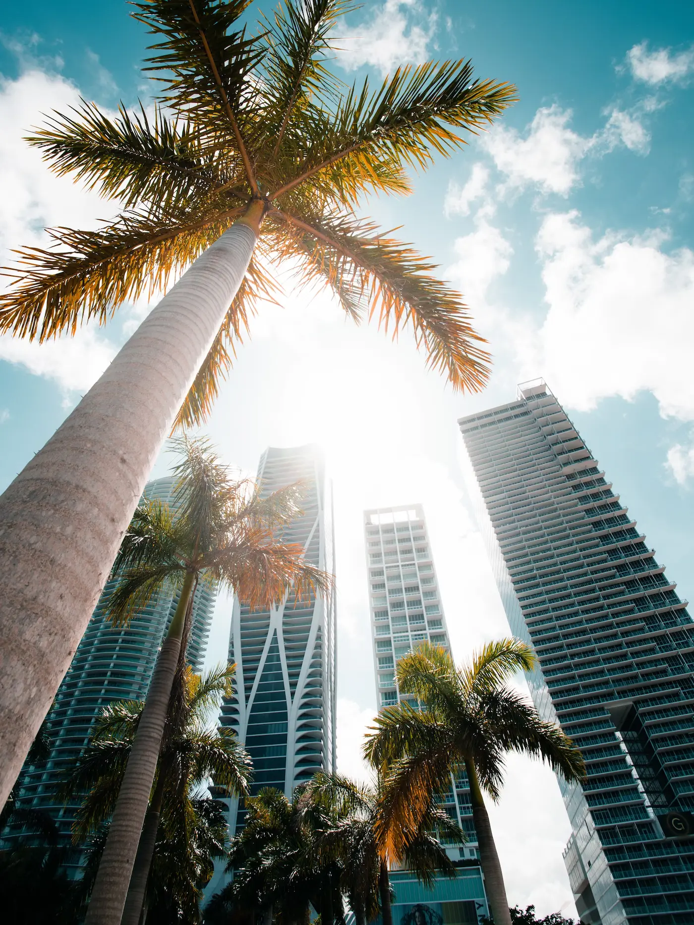 Miami Florida Image