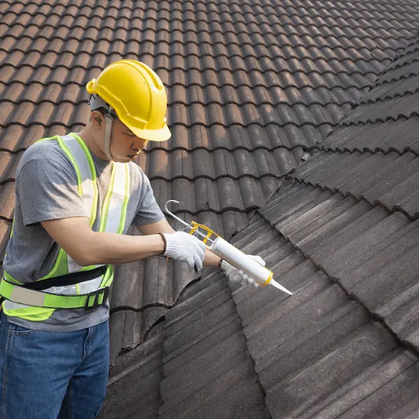 Roof Maintenance